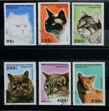 Congo 1996 gatti usato  Bari