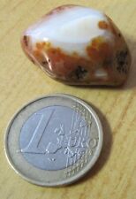 Agate bahia origine d'occasion  Poligny