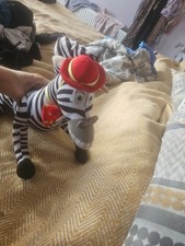 Madagascar marty zebra for sale  RAMSGATE