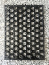 Quail egg tray for sale  Walnut