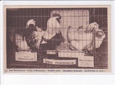 Gambais lot faverolles d'occasion  Expédié en Belgium