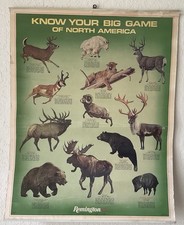 Vintage 1973 remington for sale  Gotha