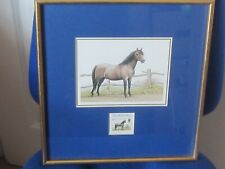 Framed welsh pony for sale  IPSWICH