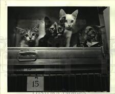 1986 press photo for sale  Memphis