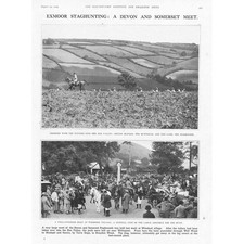 Winsford meet devon for sale Winsford meet devon for sale  GLASGOW