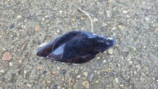 Front tow hook for sale  CANVEY ISLAND