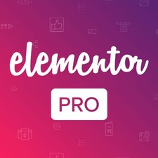 ⭐ Elementor Pro ✅ Última versión - Licencia GPL WordPress comprar usado  Enviando para Brazil
