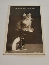 Postcard vintage cat for sale  BODMIN