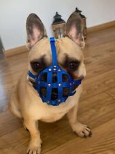  Focinho de cachorro para Bulldog Francês "Frenchies" um Outros focinhos semelhantes focinho curto, usado comprar usado  Enviando para Brazil