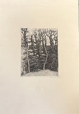 Bartolini luigi bosco usato Bartolini luigi bosco usato  Italia