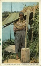 Miami florida seminole for sale  Sandusky