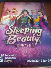 Norwich theatre royal for sale  NORWICH