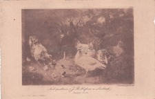 Arte fusetti editore usato  Roma