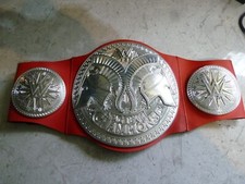 Wwe 2014 tag for sale  PETERBOROUGH