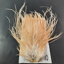 Cream ginger rooster for sale  Boiling Springs