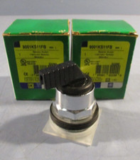 Lote de (2) interruptores seletores Schneider 9001KS11FB comprar usado  Enviando para Brazil