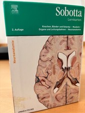 Sobotta lernkarten humanmedizi gebraucht kaufen  Würzburg