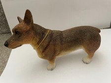 corgi dog for sale corgi dog for sale HUDDERSFIELD
