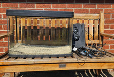 Litre love fish for sale  WAKEFIELD