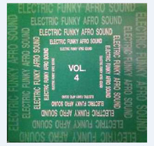 Electric funky afro usato  Trevenzuolo