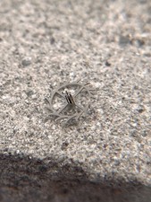 1628 riginal rolex gebraucht kaufen 1628 riginal rolex gebraucht kaufen  Gersthofen