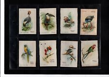 Birds tropics full for sale  UK