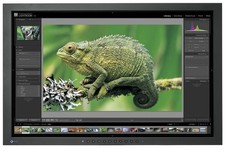 24-calowy monitor biznesowy Eizo CG241W 1920x1200 A- bez stojaka na sprzedaż  PL