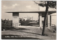 Cavallino venezia istituto usato  Isola Vicentina