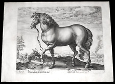 1580 rara calaber usato  Verona