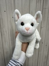 White kitten cat for sale  DERBY