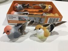 Clip bird decorations for sale  LEICESTER