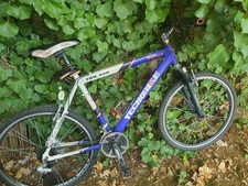 Mountain bike mis usato  Sperlonga