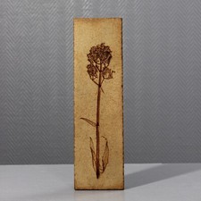 Carreau herbier roger d'occasion  Strasbourg-