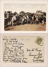 Postcard donkeys west for sale  BIRMINGHAM