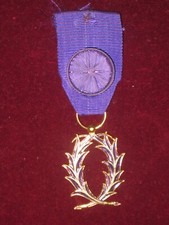 Médaille officier palmes d'occasion  Chabris