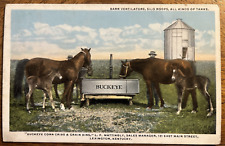 Usado, 1918 Publicidade Buckeye Corn & Grain Bins, Venilators, Silo Roofs, Lexington KY comprar usado  Enviando para Brazil