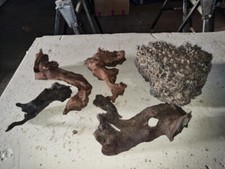 Aquarium wurzel holz gebraucht kaufen  Kleve