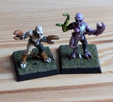 Citadel daemonette slaanesh for sale  SALTBURN-BY-THE-SEA