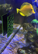 Nori feeder karmnik do alg nori do akwarium morskiego magnetyczny na sprzedaż  PL