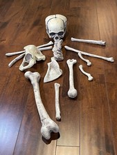 Vintage skeleton skull for sale  Las Vegas