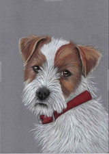Original color pencil for sale  PORTSMOUTH