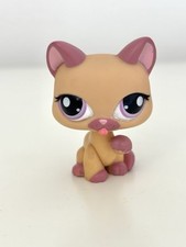 1468 paw cat for sale  PEACEHAVEN