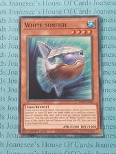 White sunfish phni for sale  HULL