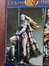 Pegaso models boudicca d'occasion  Ploërmel