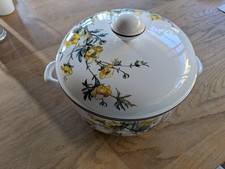 Villeroy boch botanica gebraucht kaufen  Rodenberg