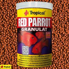 Tropical red parrot gebraucht kaufen  Baddeckenstedt