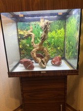 Aquarium lido 120 gebraucht kaufen  Wiesbaden