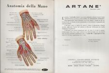 Tavole anatomiche lotto usato  Italia