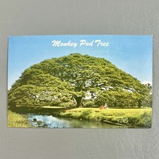 Postcard hawaii hawaiian for sale  Temecula