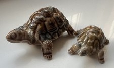 Wade tortoises for sale  BISHOP AUCKLAND